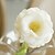 Χαμηλού Κόστους Ψεύτικα Λουλούδια-Ψεύτικα λουλούδια 2 Κλαδί Μοντέρνο Στυλ Τριαντάφυλλα Λουλούδι για Τραπέζι