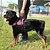 voordelige Hondenhalsbanden, tuigjes &amp; riemen-Hond harnassen Gewatteerd Verstelbaar / Uitschuifbaar Nylon camouflage kleur Zwart Rood