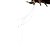 Χαμηλού Κόστους Δολώματα &amp; Τεχνητά Δολώματα-1 pcs Μαλακό Δόλωμα Atrăgătoare Pescuit Μαλακό Δόλωμα Γαρίδα Bass Τρώκτης Λούτσος Θαλάσσιο Ψάρεμα Δολώματα πετονιάς Ψάρεμα Πάγου Σιλικόνη Μεταλλικό / Ψάρεμα Γλυκού Νερού / Ψάρεμα με Δόλωμα