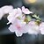 billige Kunstig blomst-Silke Bryllupsblomster Bordblomst 4.0