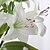 Χαμηλού Κόστους Ψεύτικα Λουλούδια-Ψεύτικα λουλούδια 1 Κλαδί μινιμαλιστικό στυλ Κρίνοι Λουλούδι για Τραπέζι