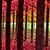 Недорогие Печать на холсте-е-Home® растягивается холсте красного дерева Декоративная роспись Набор из 3