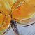 billige Blomster-/botaniske malerier-Hang malte oljemaleri Håndmalte - Abstrakt Blomstret / Botanisk Moderne Inkluder indre ramme