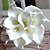 cheap Artificial Flower-Modern Decorative Flower 12 Colors 9 Pieces/Lot Artificial Mini Calla Lily Bundle for Home and Party Decoration