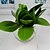 זול פרח מלאכותי-פרחים מלאכותיים 2 ענף סגנון מינימליסטי צמחים פרחים לשולחן
