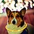 billiga Hundhalsband, selen och koppel-Hund Halsband LED Lampor Nylon Gul Röd