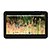 ieftine Tablete-V140D 10.1 inch Android Tablet (Android 4.4 1024 x 600 Miez cvadruplu 1GB+16GB) / # / 32 / # / 32 / TFT