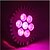 Недорогие Лампы-Наборы ламп 12 - (W) - фиолетовый AC100-240 - (V)