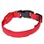 cheap Dog Collars, Harnesses &amp; Leashes-Dog Collar Plastic / Nylon