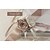 abordables Fleurs de mariage-Fleurs de mariage Bouquets Mariage Perle / Dentelle / Strass 26cm