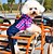 Недорогие Одежда для собак-Собака Костюмы Комбинезоны Зима Одежда для собак Зеленый Розовый Костюм Хлопок Джинсы Косплей На каждый день XS S M L XL
