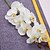ieftine Flori Artificiale-ramură Orhidee Față de masă flori Flori artificiale