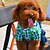 رخيصةأون ملابس الكلاب-كلب ازياء تنكرية حللا الشتاء ملابس الكلاب أخضر وردي كوستيوم قطن جينزات الكوسبلاي كاجوال / يومي XS S M L XL