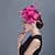 abordables Chapeaux et coiffes-Plume Fleurs / Coiffure avec Fleur 1pc Mariage / Occasion spéciale / Décontracté Casque