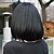 Недорогие Парик из искусственных волос без шапочки-основы-Парики из искусственных волос Прямой силуэт С чёлкой Парик Короткие Черный Жен.