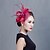 cheap Headpieces-Women Wedding Party Sinamay Feather Fascinators SFC12370 Elegant Style
