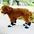 abordables Vêtements pour chiens-Chien Chaussures &amp; Bottes Garder au chaud Couleur Pleine Pour les animaux domestiques Tissu Noir / Hiver