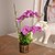 abordables Flores artificiales-Rama Seda Plástico Orquídea Flor de Mesa Flores Artificiales