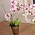 abordables Fleurs artificielles-Une succursale Soie Plastique Orchidées Fleur de Table Fleurs artificielles