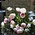 voordelige Kunstbloemen-12 &quot;l schattig tea rose zijden doek bloemen kleine roze