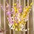 cheap Artificial Flower-Artificial Flowers 1 Branch Pastoral Style Orchids Tabletop Flower