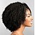 halpa Huippulaadukkaat peruukit-Black Wigs for Women Synthetic Wig Curly Kinky Curly Loose Wave Kinky Curly Curly Asymmetrical Middle Part Wig Short Black Synthetic Hair 10 Inch Women&#039;s Natural Hairline African American Wig Black