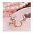 cheap Earrings-Crystal Clip on Earring Vintage Party Work Casual Cute Imitation Diamond Earrings Jewelry For Party