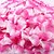 cheap Artificial Flower-Polyester Wedding Flowers Petal Tabletop Flower Petal 1