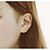 cheap Earrings-Crystal Clip on Earring Vintage Party Work Casual Cute Imitation Diamond Earrings Jewelry For Party