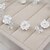 cheap Headpieces-Crystal / Alloy Flowers / Hair Pin with 1 Wedding / Special Occasion / Casual Headpiece