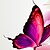 Недорогие Печать на холсте-С картинкой Цветочные мотивы / ботанический Классика 4 панели Репродукции