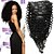 cheap Clip in Hair Extensions-7Pcs/Set 12&quot;-26&quot;  Brazilian Hair Natrual Black Kinky Curly Clip In Unrocessed Human Hair Weaves