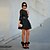 cheap Women&#039;s Dresses-Women&#039;s Lace Micro-elastic Long Sleeve Above Knee Dress (Lace)