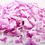 cheap Artificial Flower-Polyester Wedding Flowers Petal Tabletop Flower Petal 1