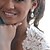 cheap Earrings-Women&#039;s Silver Zircon Crystal Diamond Earring For Birde Wedding