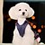 billige Hundetøj-Hund Kjoler Hvalpe tøj Prikker Jeans Cosplay Hundetøj Hvalpe tøj Hund outfits Blå Kostume til Girl and Boy Dog Bomuld XS S M L XL
