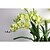 cheap Artificial Flower-33.5&quot; Three Heads  Silkprint Vanda Artificial Flower Set of 1