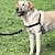 Χαμηλού Κόστους Κολάρα, Σαμαράκια &amp; Λουριά για Σκύλους-Σκύλος Κοντός οδηγός για σκύλους Ζώνες &amp; λουρί Προσαρμόσιμη / Τηλεσκοπικό Ανοξείδωτο Ατσάλι Πλαστική ύλη Νάιλον Μαύρο Κόκκινο