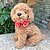 cheap Dog Clothes-Cat Dog Tie / Bow Tie Bowknot Holiday Wedding Dog Clothes Puppy Clothes Dog Outfits Black Red Costume for Girl and Boy Dog Cotton S M L