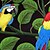 cheap Prints-E-HOME® Stretched Canvas Art Color Parrot Decoration Painting  Set of 3