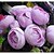 abordables Fleurs artificielles-Fleurs artificielles 1 Une succursale Fleurs de mariage Pivoines Fleur de Table