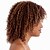 cheap Synthetic Trendy Wigs-Synthetic Wig Kinky Curly Style Capless Wig Brown Synthetic Hair Women&#039;s Brown Wig Halloween Wig
