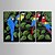 cheap Prints-E-HOME® Stretched Canvas Art Color Parrot Decoration Painting  Set of 3