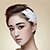 voordelige Bruiloft Zendspoel-veer tiaras bloemen haarspeld hoofd ketting hoofddeksel elegante stijl