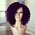 halpa Peruukit ihmisen hiuksista-Aidot hiukset Full Lace Peruukki Brasilialainen Kinky Curly Peruukki Naisten Lyhyt Keskikokoinen Pitkä Aitohiusperuukit verkolla