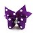 cheap Dog Clothes-Cat Dog Hair Accessories Puppy Clothes Hair Bow Wedding Simple Style Dog Clothes Puppy Clothes Dog Outfits White Black Purple Costume for Girl and Boy Dog Terylene