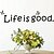 cheap Wall Stickers-Words &amp; Quotes Wall Stickers Plane Wall Stickers Decorative Wall Stickers, Vinyl Home Decoration Wall Decal Wall Decoration
