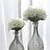 billige Kunstig blomst-Kunstige blomster 1 Gren Moderne Stil Hortensiaer Bordblomst