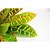 Недорогие Искусственные цветы-1pc 13 &quot;высокое качество украсить искусственный лист красочный лист