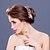Χαμηλού Κόστους Κεφαλό Γάμου-Γυναικείο Στρας Κράμα Απομίμηση Μαργαριτάρι Headpiece-Γάμος Ειδική Περίσταση Χτενιές Μαλλιών 1 Τεμάχιο